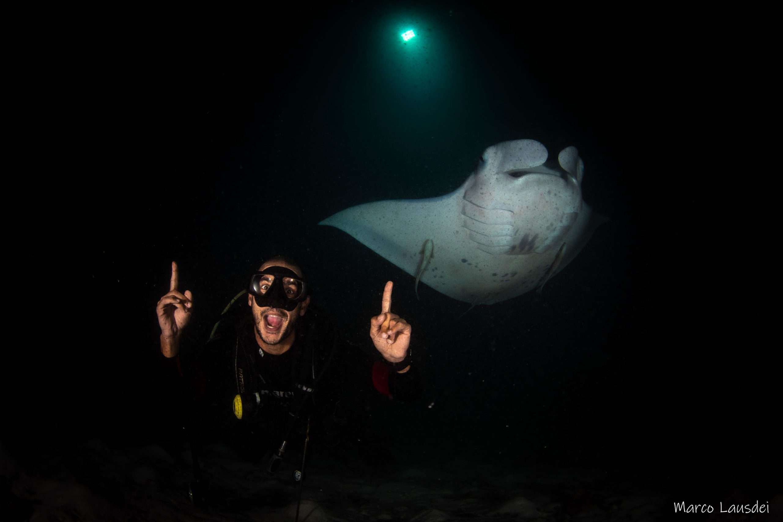 best dive operator in the Maldives